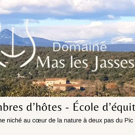 Bed & Breakfast Mas Les Jasses D'hote Calme Et Agreable A La Campagne Ferrières-les-Verreries