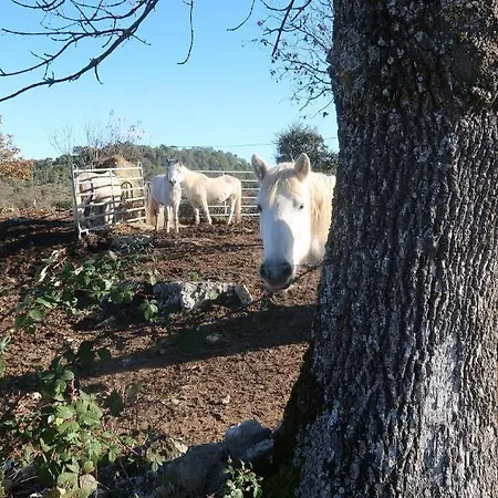 Mas Les Jasses D'hote Calme Et Agreable A La Campagne Panzió Ferrières-les-Verreries