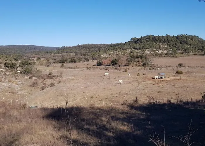 B&B Mas Les Jasses D'hote Calme Et Agreable A La Campagne Ferrières-les-Verreries