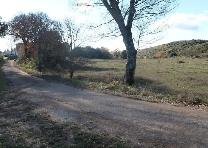 Mas Les Jasses D'hote Calme Et Agreable A La Campagne Ferrières-les-Verreries